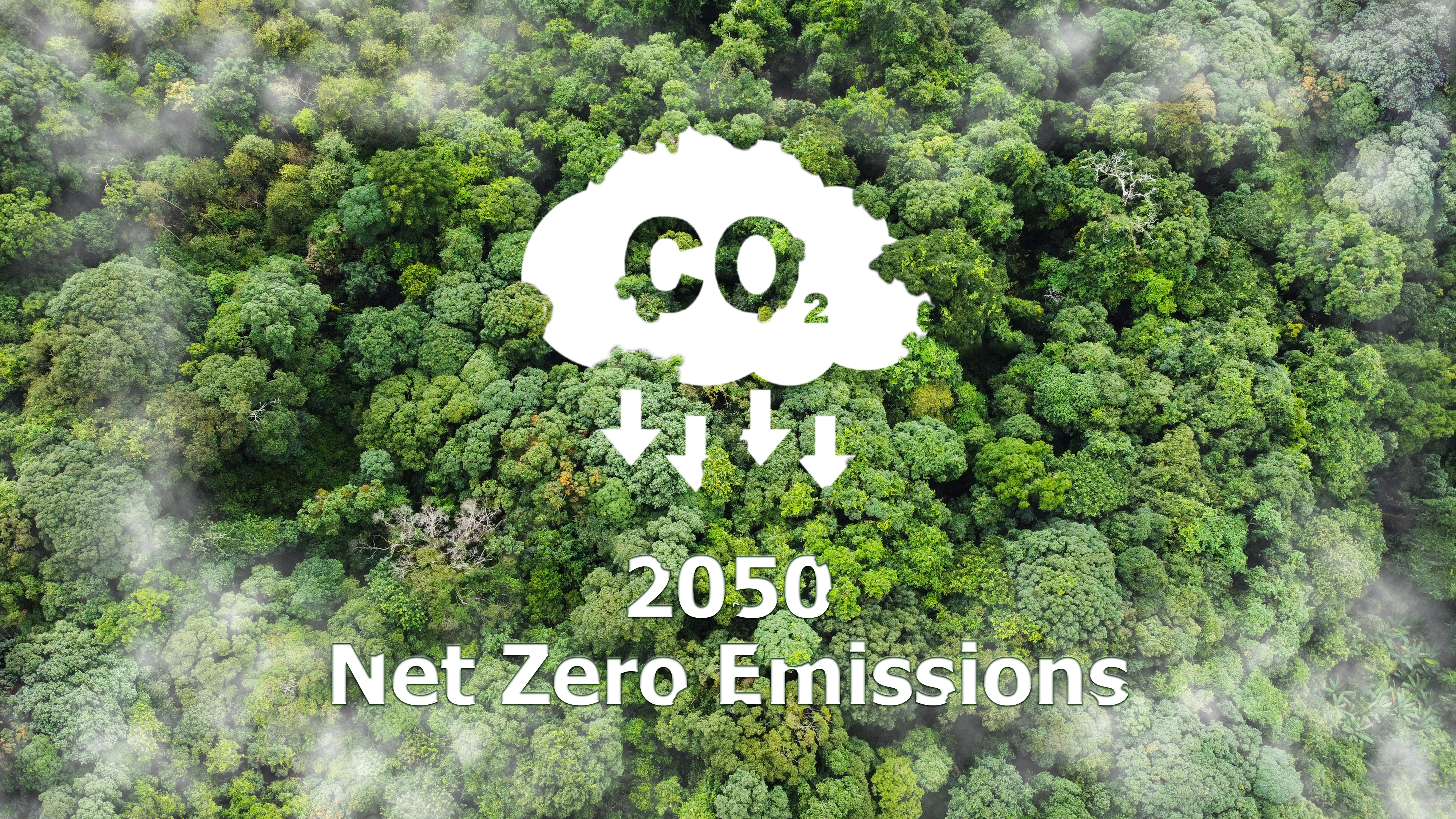 Net Zero 2050 Carbon Neutral and Net Zero Concept natural environment A climate neutral long term strategy greenhouse gas emissions targets A cloud of mist in the green Net Zero figure.